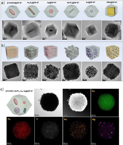 TEM Images Of ZIF 67 Nanohybrids That Encapsulate Different Types And