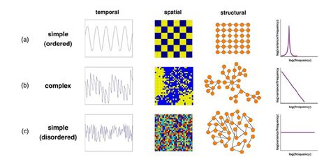 Temporal Spatial And Structural Signatures Of Simple Ordered And