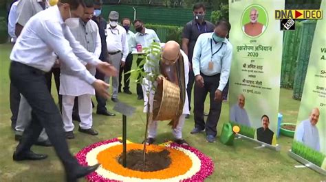 6000 Acres Area To Be Covered Under Tree Sapling Plantation Campaign