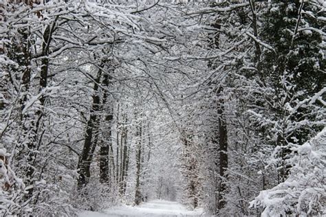 Image Libre Neige Hiver Ciel Bleu Givre Glace Nature Froid