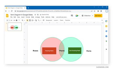 06-completed-example-of-a-venn-diagram-in-google-slides - SlideModel