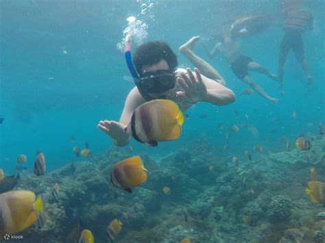 Snorkeling Experience In Nusa Penida Klook Malaysia