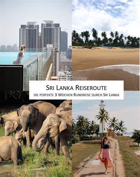 Sri Lanka Reiseroute perfekte 3 Wochen Rundreise Sri Lanka Süden Safari