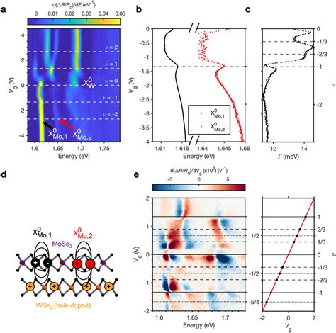 Correlated electron and hole states in the triangular moiré