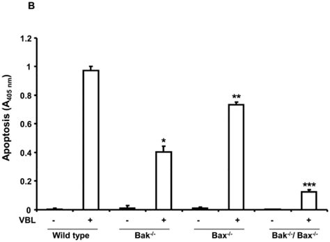 Bak −/− deficient cells are resistant to vinblastine-induced apoptosis ...