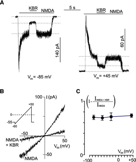 Figure 2 From Inhibition Of Plasma Membrane Na Ca Exchanger By KB R7943