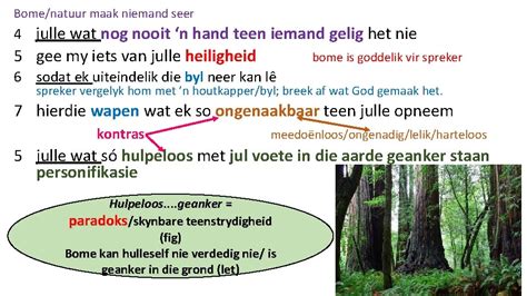 Gebed Tot Die Bome Vincent Oliphant Ekverteller N