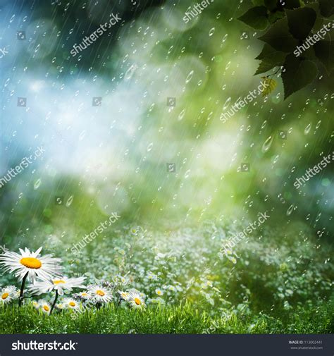 108,041 Soft Rain Images, Stock Photos & Vectors | Shutterstock