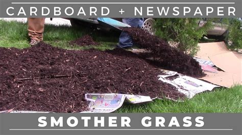 Sheet Mulching Smother Grass With Cardboard And Newspaper Youtube