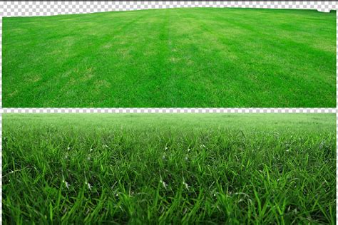 130 Digital Grass Textures Backgrounds Backdrops Photoshop Overlays Photography Natural