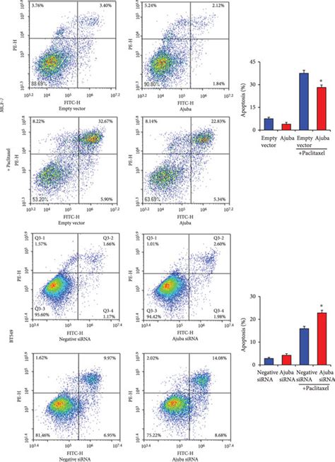 Ajuba Regulates Paclitaxel Induced Apoptosis A Breast Cancer Cells