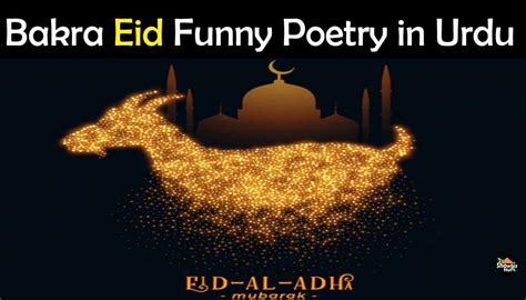 Bakra Eid Funny Poetry In Urdu Wishes Status Showbiz Hut