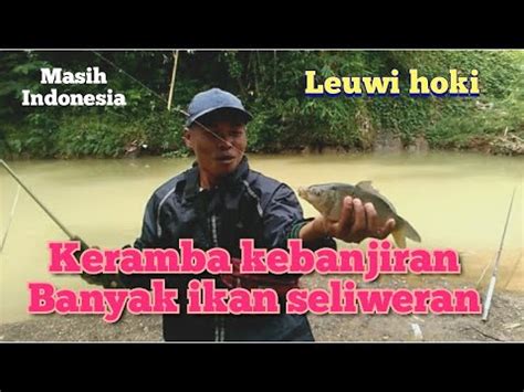 Buruan Bawa Joran Banyak Ikan Kabur Dari Empang Dan Karamba Sehabis