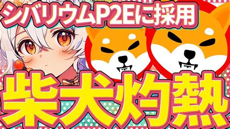 【柴犬コインshib】シバリウムが柴犬p2eで採用！ついに第3四半期にリリース決定！その期待値とは？【shibaコイン】【シバイヌコイン