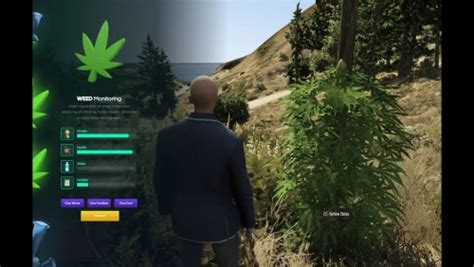 FIVEM Weed System DebuX Rare Script Scripts LauncherLeaks