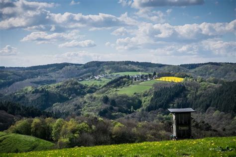 Wandern mit Hund Wäller Tour Bärenkopp im Wiedtal