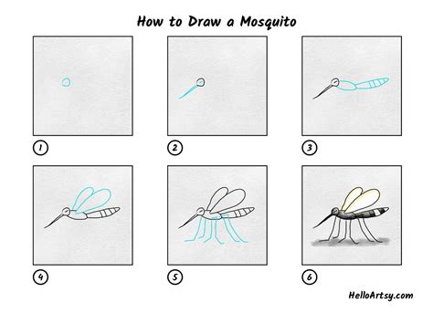 How to Draw a Mosquito - HelloArtsy