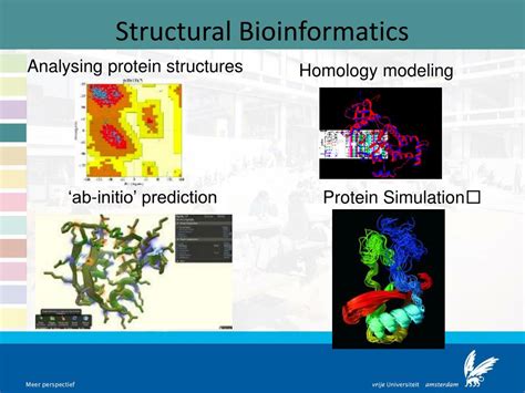 Ppt Master Bioinformatics Bioinformatics And Systems Biolgy Powerpoint Presentation Id4229099