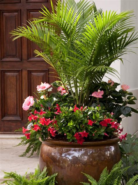 The Best Flowers For Pots In Full Sun Hgtv Flower Pots Outdoor