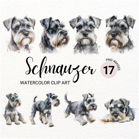 Miniature Schnauzer Clipart Cute Dog Clipart Dog Png Etsy Uk