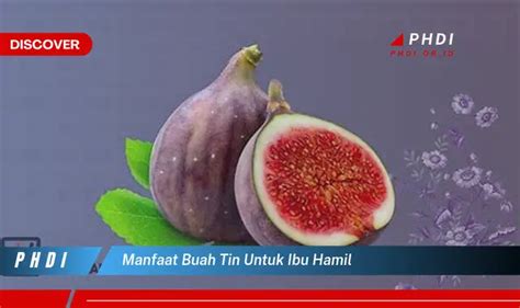 Temukan Manfaat Buah Tin Untuk Ibu Hamil Yang Bikin Kamu Penasaran