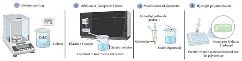 Gels Free Full Text Quercetin Embedded Gelastin Injectable Hydrogel
