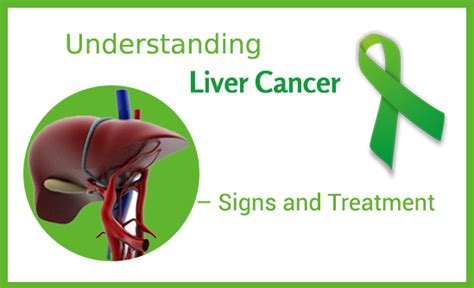 Understanding Liver Cancer Signs And Treatment Cancer Healer Center