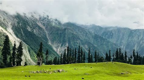 Dachigam National Park Jammu Kashmir Aryan Go