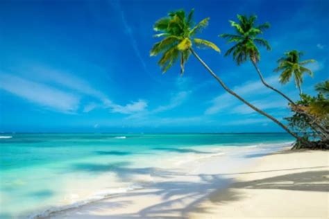 Trinidad and Tobago Beaches - ILX Travel