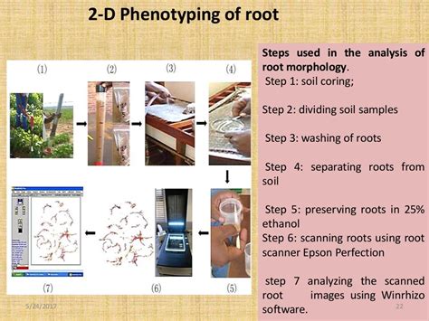 High Throughput Phenotyping