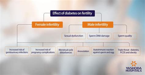 Diabetes And Infertility I Diabetes May Cause Infertility In Men And Women