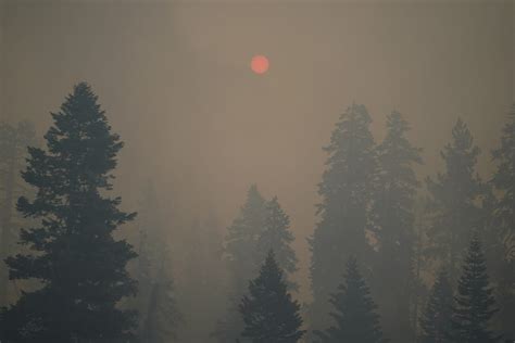 Wildfire Smoke Disproportionately Affects Californias Indigenous