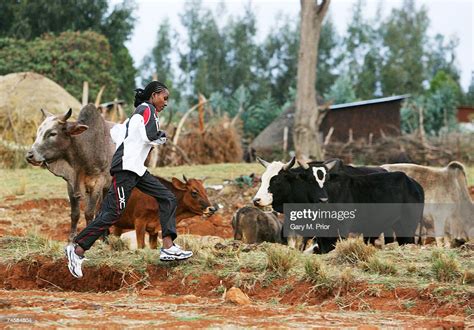 Ethiopian runner Tirunesh Dibaba during training on May 15, 2007 in ...