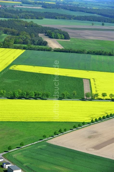 Glöwen aus der Vogelperspektive Gelbe Blüten der Raps Feld