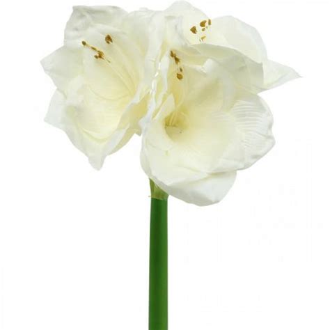 Floristik24 Dk Kunstig Blomst Amaryllis Hvid Ridder Stjerne