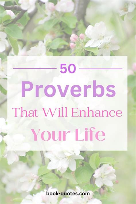 50 Quotes From The Book Of Proverbs | Book of proverbs, Bible proverbs ...