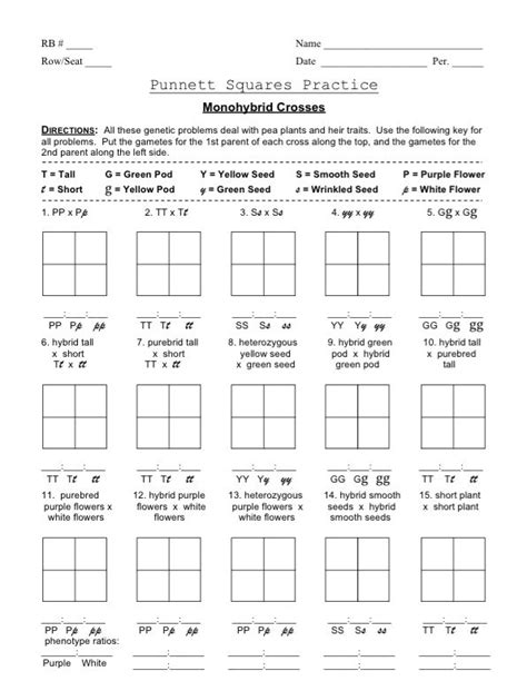 Genetic Disorder Punnett Square Worksheet