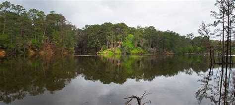 Bastrop State Park — Texas Parks And Wildlife Department Bastrop State