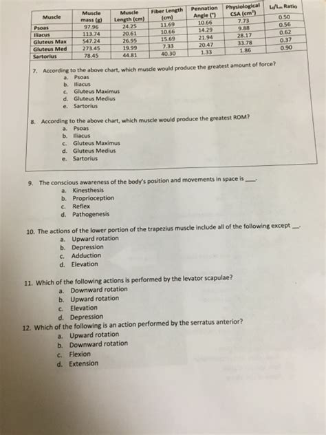 Solved According To The Above Chart Which Muscle Would Chegg