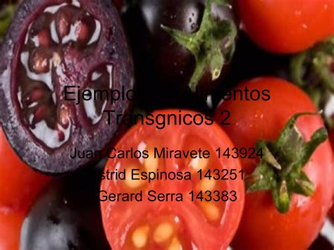 Ejemplos De Alimentos Transgnicos Ppt