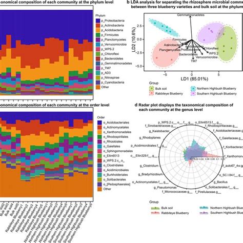 Taxonomical Compositions Of Rhizosphere Microbial Communities In Three Download Scientific