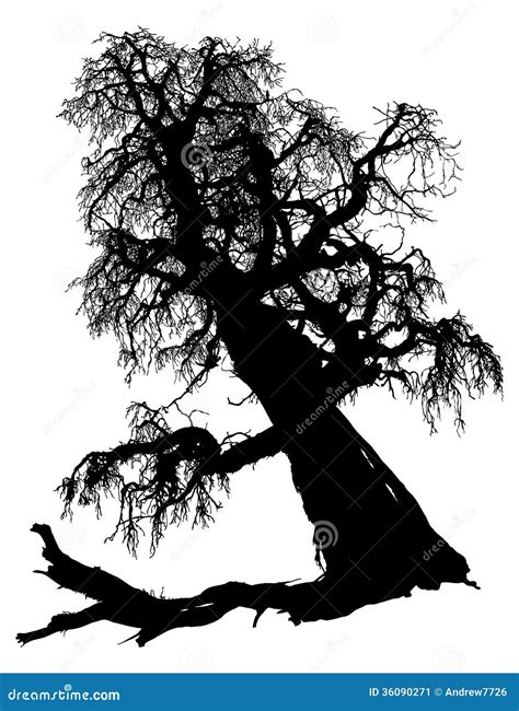 Silhouette Of The Old Dried Tree Stock Image Image 36090271