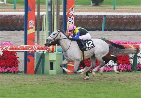 【アルゼンチン共和国杯（g2）予想】絶好調3歳キラーアビリティは自信の切り！ Gj