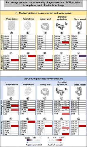 Age Associated Differences In The Human Lung Extracellular Matrix