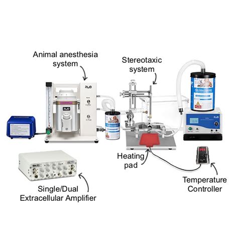 In Vivo Extracellular Recording Set Up Ala Scientific