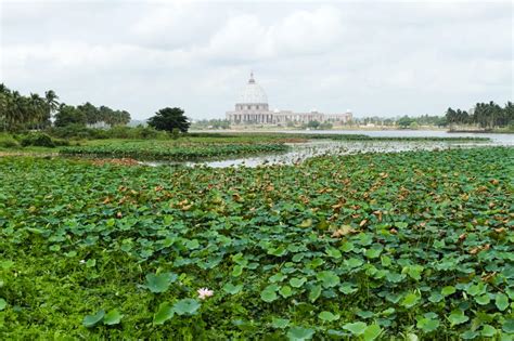 The Basilica Of Our Lady Of Peace Yamoussoukro Stock Image Image Of