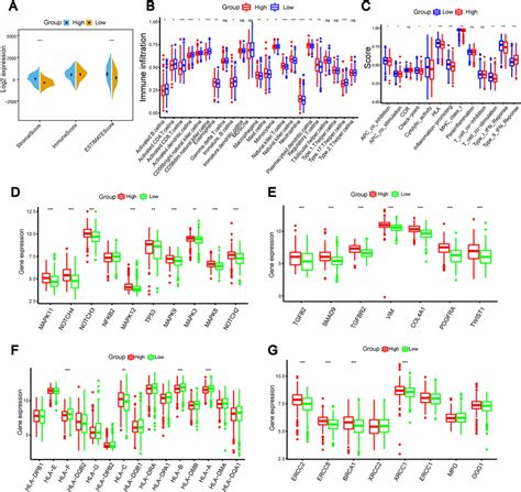 The Immune Landscape In Risk Groups A Differences Of Stromal Score