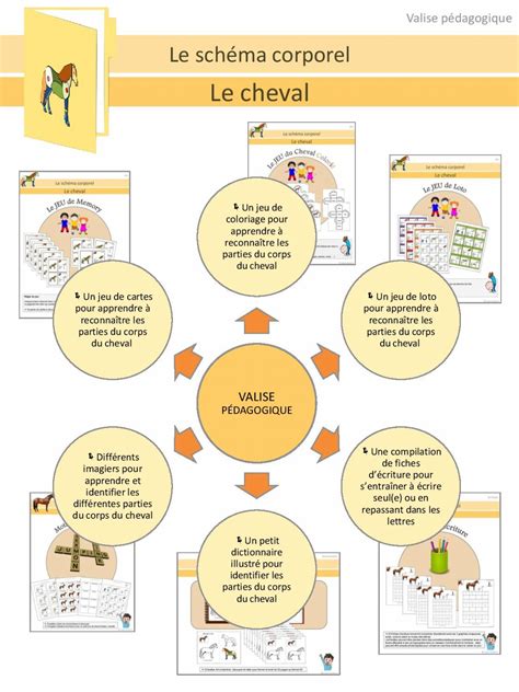 Valise P Dagogique Sur Le Sch Ma Corporel Du Cheval D Couverte Du