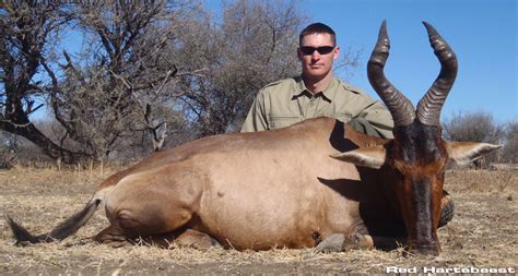 Namibia Hunt Hunting Namibia