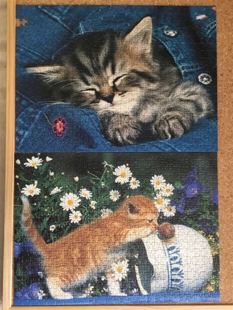 Ravensburger Puzzle Süsse Katzenbabies Kaufen auf Ricardo